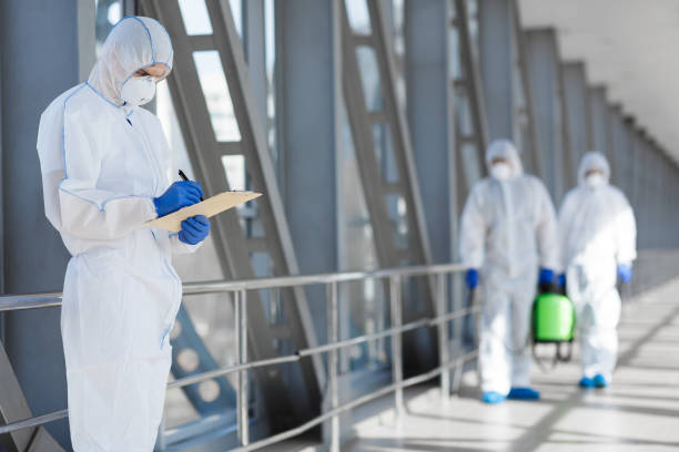 Best Attic Mold Removal  in Kerens, TX