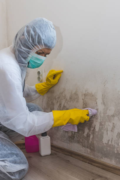Best Black Mold Removal  in Kerens, TX