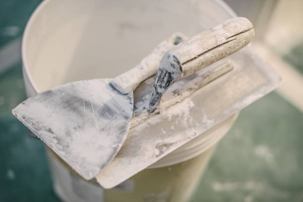 Best Biohazard Mold Removal  in Kerens, TX